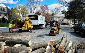 Best Arborist Consultation Services  in Enon, VA