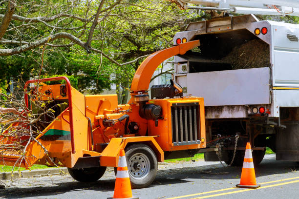 Best Tree and Shrub Care  in Enon, VA