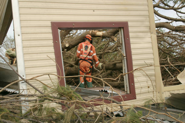  Enon, VA Tree Services Pros