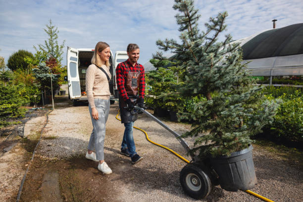 Best Lawn Irrigation Installation and Maintenance  in Enon, VA